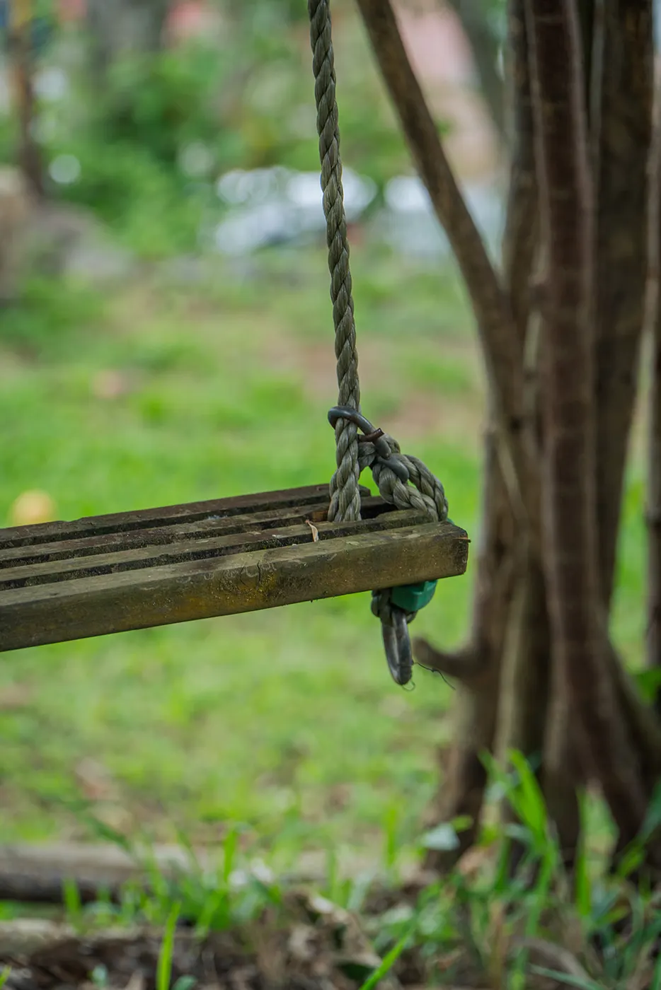 The swing