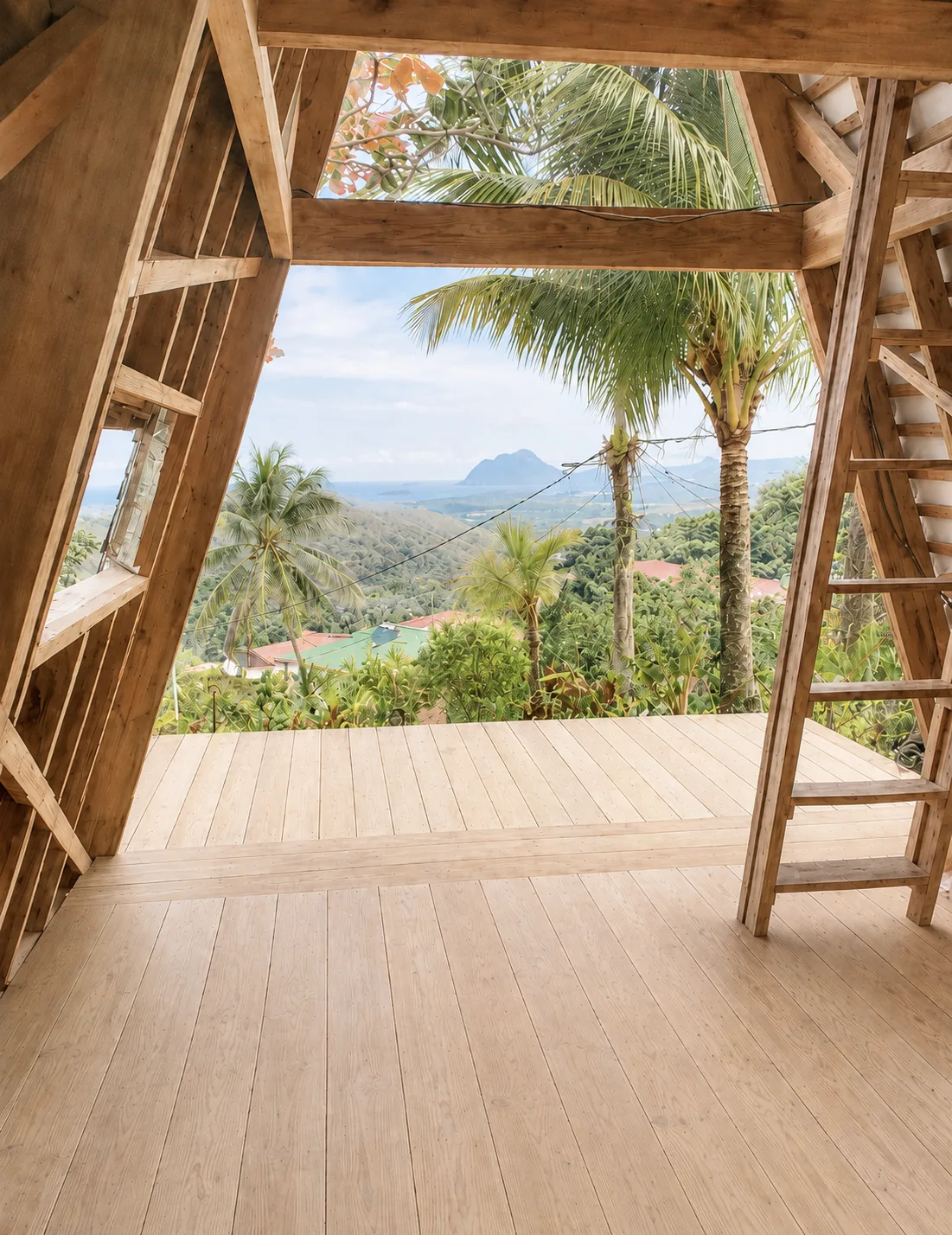 View from inside the cabin toward the deck, the palms, and Diamond Rock