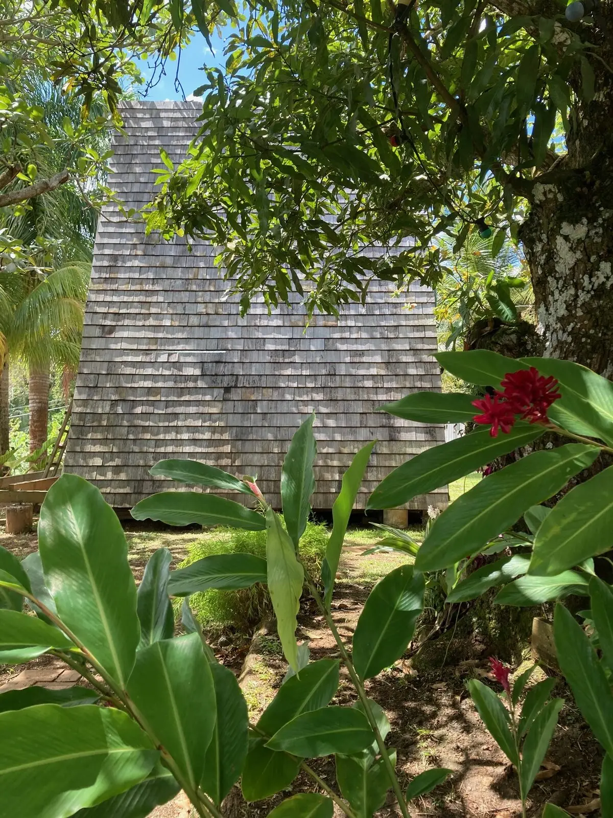 A-frame open to the tropical garden, Sainte-Luce, Martinique