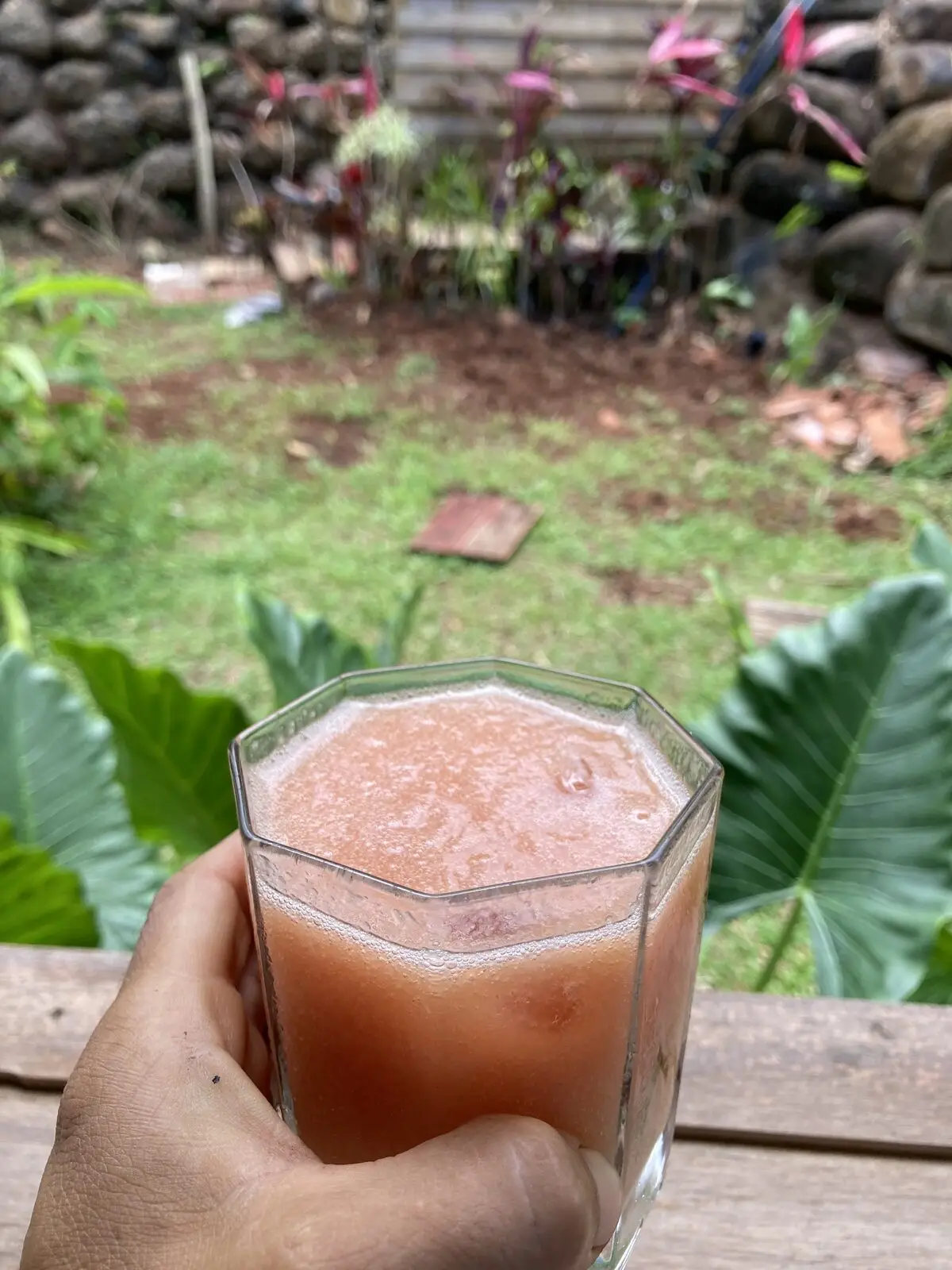 Jus frais à la main face au jardin tropical, Les Vendredis