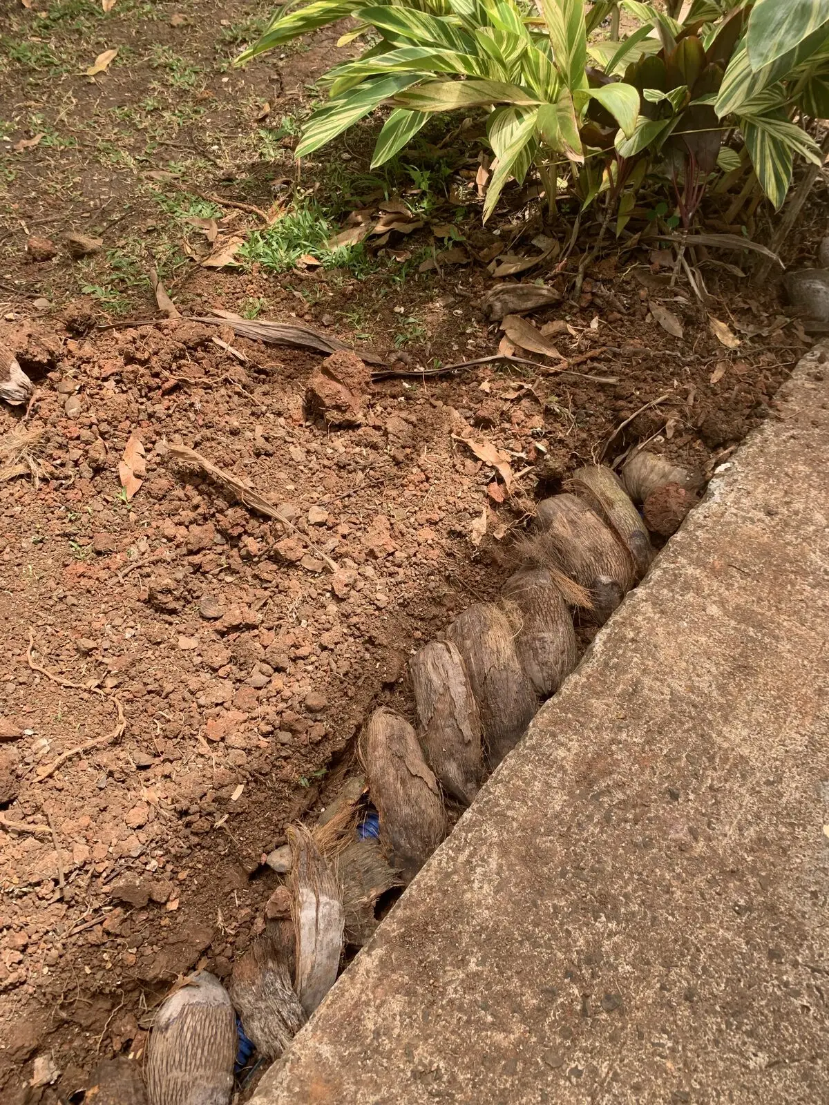Coconut fibre packed in for drainage