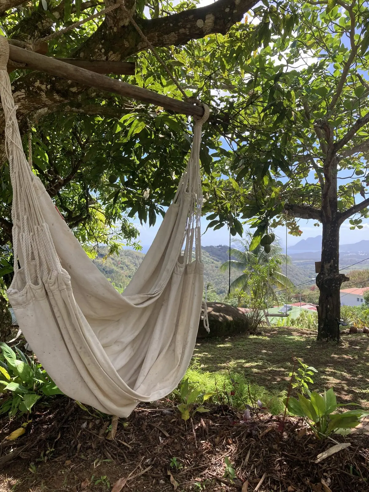 Hamac dans le jardin tropical des Vendredis, Martinique