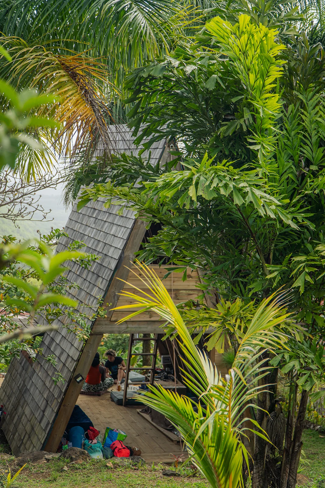 L'A-frame des Vendredis vue à travers les palmiers, Sainte-Luce, Martinique