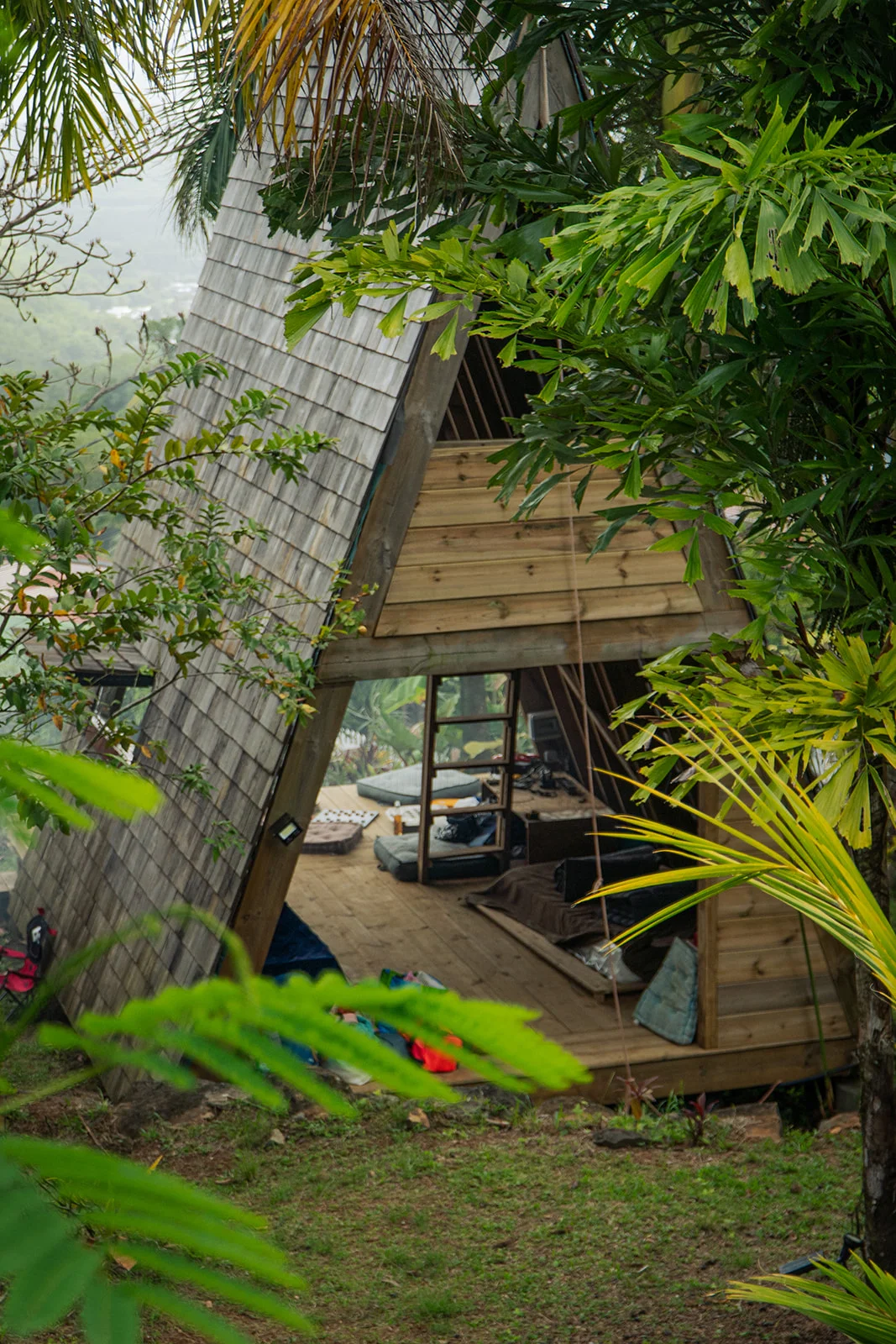 L'A-frame nichée dans la forêt, intérieur visible à travers le feuillage, Les Vendredis