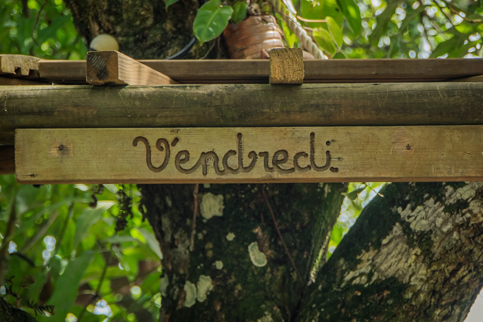 Panneau de bois gravé Vendredi dans le feuillage, Les Vendredis