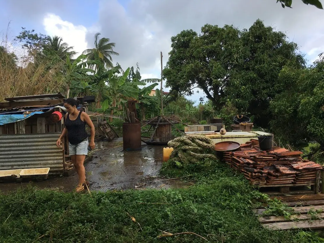The land at Les Vendredis before construction, Sainte-Luce, Martinique
